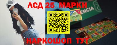 гашик Донецк