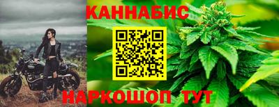 гашик Донецк