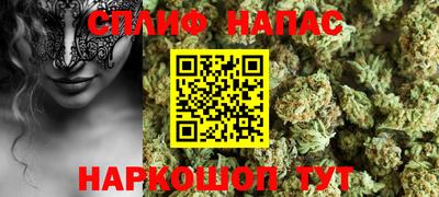гашик Донецк
