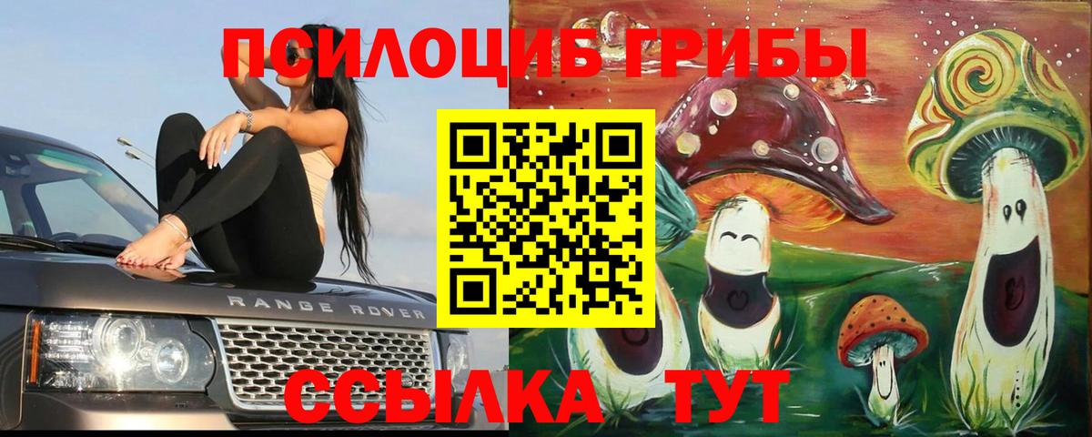 БУТИРАТ Лесозаводск