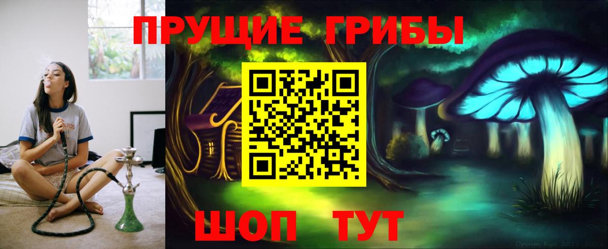 Лесозаводск  Псилоцибиновые грибы Psilocybine cubensis  Вход с VPN 